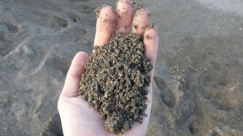 vendita sabbia lavata 0-2 mm