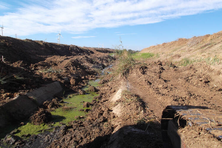 Opere fluviali. ripulitura torrente dalla vegetazione